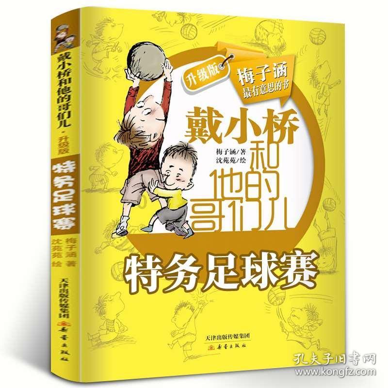 隆回县公安局治安大队荣立集体二等功